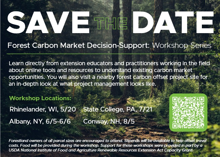 Screenshot 2025-03-05 122940.jpg